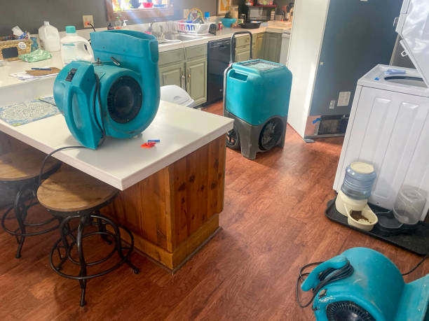 Best Water damage contractors near me  in Parsons, WV