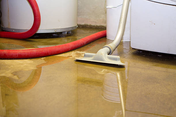 Best Sewage cleanup and water damage restoration  in Parsons, WV