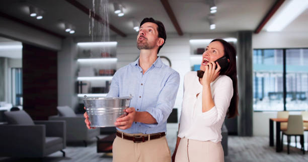 Best Carpet water damage restoration  in Parsons, WV